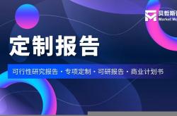 worldcup-2025年羽(yǔ)毛球(qiú)羽(yǔ)毛球(qiú)行业国际国内市場(chǎng)情况与發(fā)展前景(jǐng)分析报告